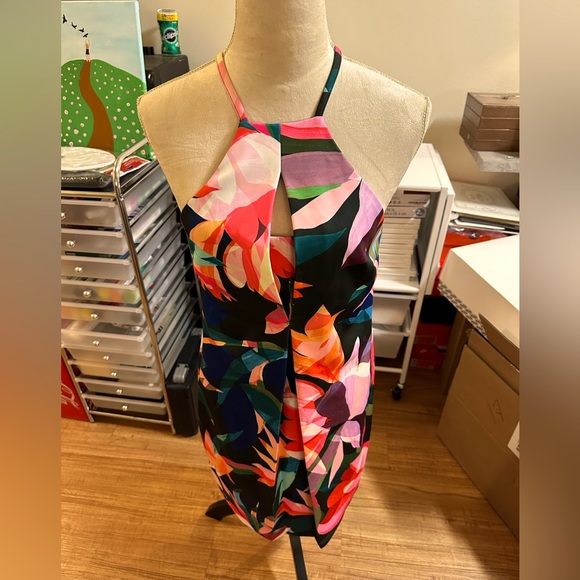 Trina by Trina Turk Dress - Picture 1 of 9